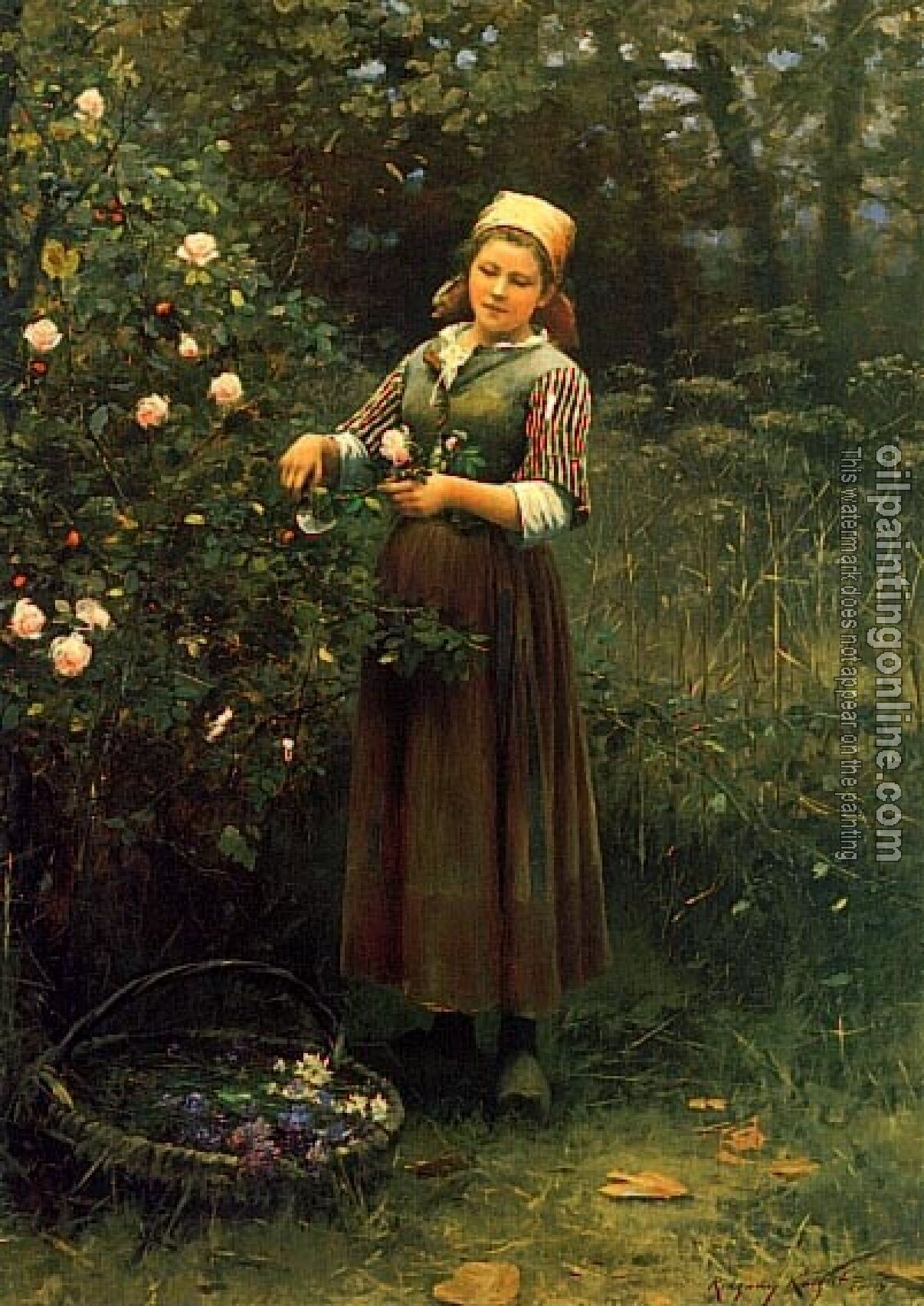 Daniel Ridgway Knight - Cutting Roses